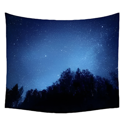 Starry Forest Tapestry | Solus LLC Solus LLC